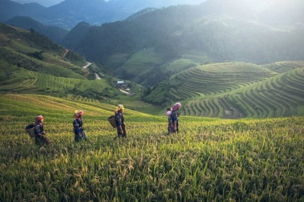 Indochina tours - Journey Through the Heart of Indochina – 23 Days