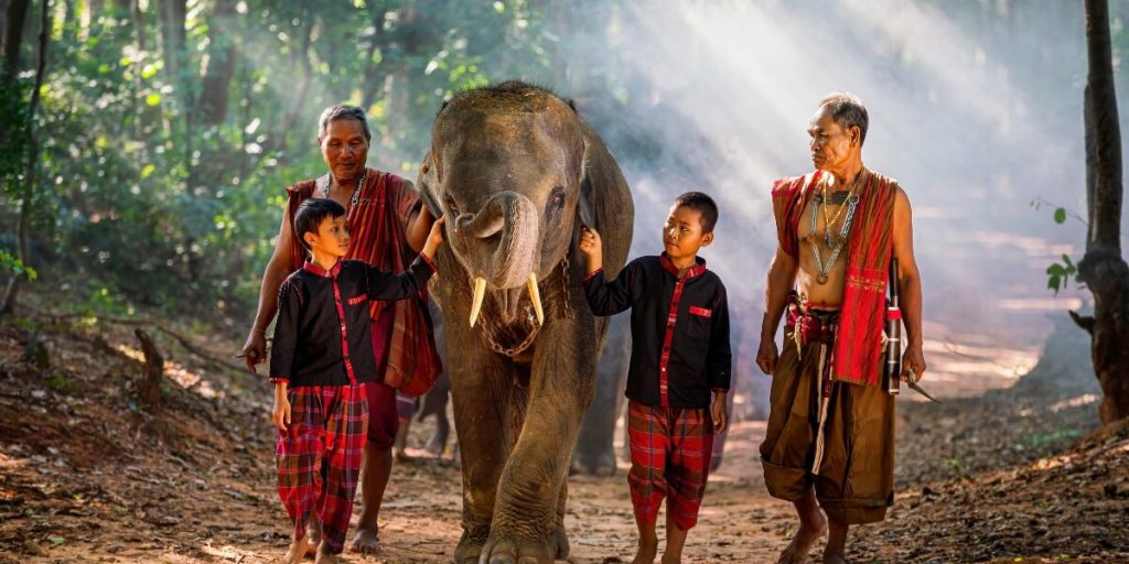 Elephant Village - vietnam laos trip