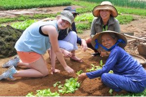 Tra Que Vegetable Village Travel Guide_ Things to Do & Local Experiences