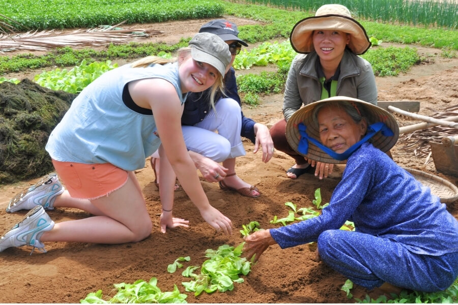 Tra Que Vegetable Village Travel Guide_ Things to Do & Local Experiences