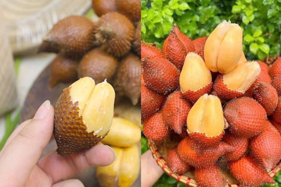 Salak - The Snake-Skinned Wonder of Exotic Asia Fruits