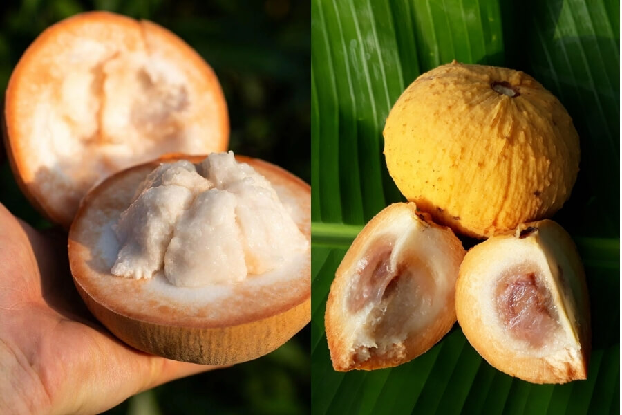 Santol - The Cottony Surprise in Rare Fruits in Asia