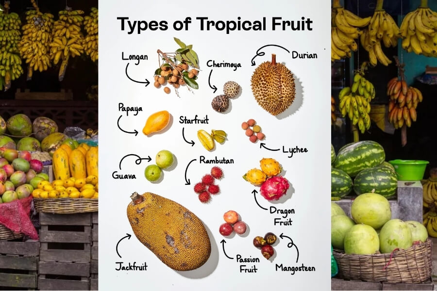 Top 12+ Asian Exotic Fruits You Need to Try Once